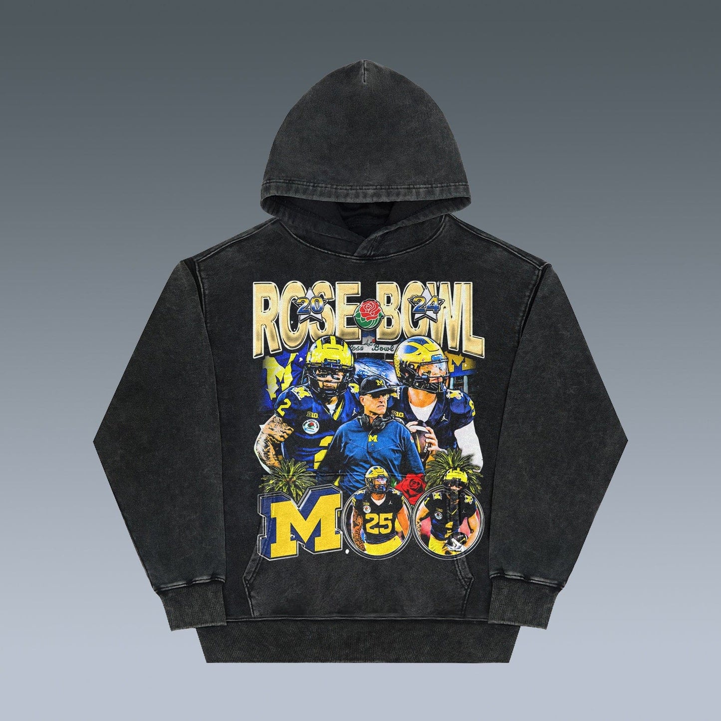 VINTAGE HOODIES | MICHIGAN WOLVERINES